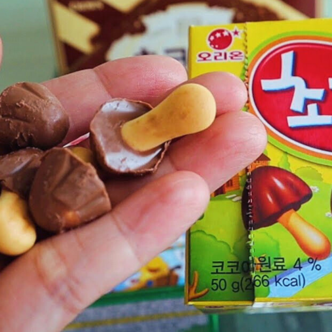 Orion Chocolate Mushrooms